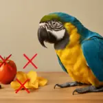 Cosa non deve mai mangiare un’ara domestica? Evita questi errori frequenti che possono danneggiarla