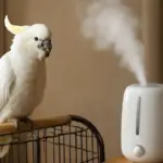 Cacatua e aria secca in casa: ecco come proteggere le vie respiratorie del tuo volatile