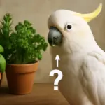 Erbe aromatiche adatte ai cacatua: migliorano davvero il piumaggio o sono solo una moda?