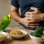 Parrocchetti e disturbi intestinali: quali cibi evitare e l’alimento che aiuta la digestione