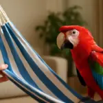 Può l’amaca spaventare il pappagallo? Come capire le sue reazioni e introdurre comfort gradualmente