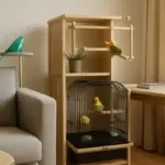 Accessori multiuso per volatili domestici: come ottimizzare lo spazio in casa senza rinunce
